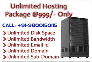 Unlimited Website Hosting Packing in siliguri